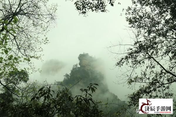 小花仙手游百度版：梦幻仙境，体验多元玩法，打造你的专属花仙世界！