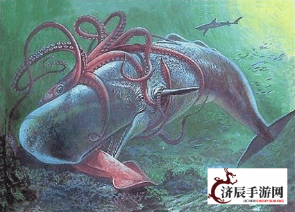 揭秘深海神秘生物：乌贼海怪大王的真相与其影响生态环境的重要性